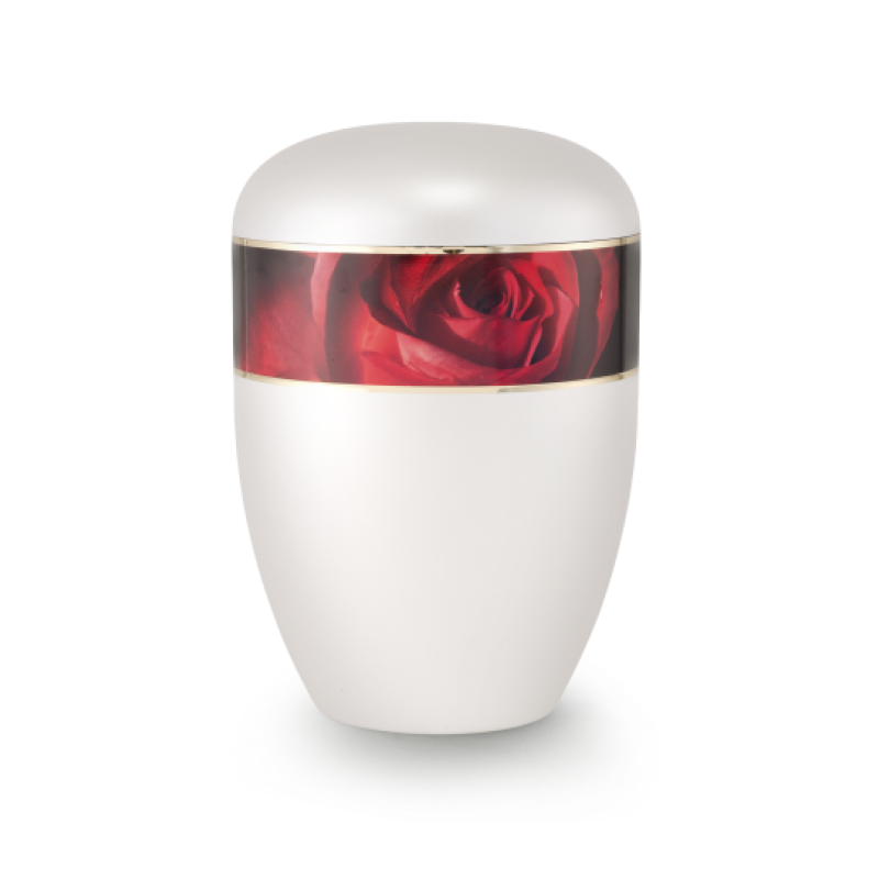 Die Urne aus der Edition Antiqua ist perlmuttfarben, hat eine runde Form und zeigt ein rotes Rosenmotiv mit goldener Umrandung auf der oberen Hälfte.