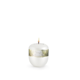 Edition Poesie, perlmutt - Gedenklicht, Waldweg, Wenn ihr wüsstet...