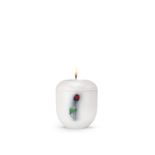 Gedenklicht aus der Edition Fleur in Weiß mit einer roten Tulpe und grünem Blatt, rundliche Form, Gesamtansicht mit brennender Flamme.