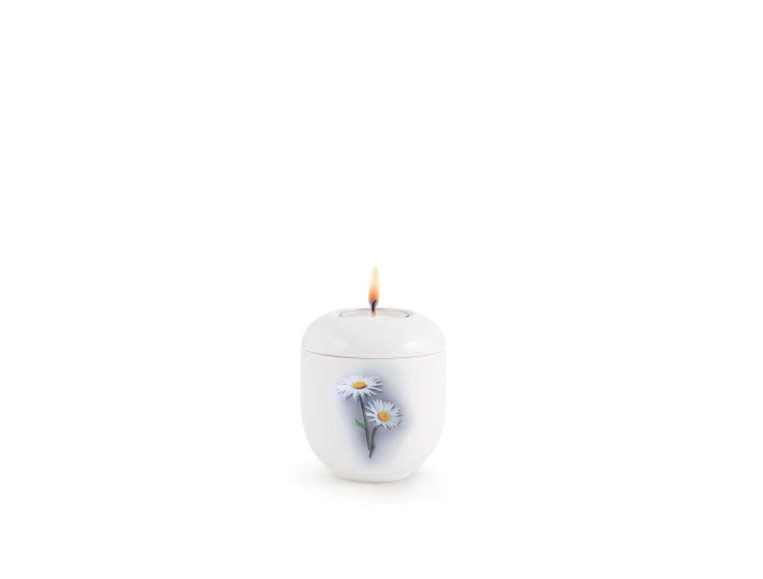 Edition Fleur, weiß - Gedenklicht, Margerite