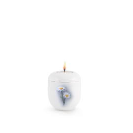 Edition Fleur, weiß - Gedenklicht, Margerite