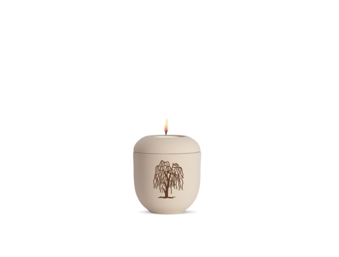 Edition Classique, creme, Trauerweide, Gedenklicht