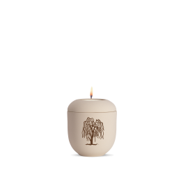 Edition Classique, creme, Trauerweide, Gedenklicht