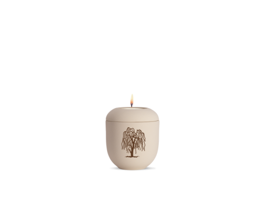 Edition Classique, creme, Trauerweide, Gedenklicht