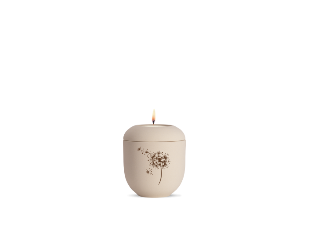 Edition Classique, creme, Pusteblume, Gedenklicht