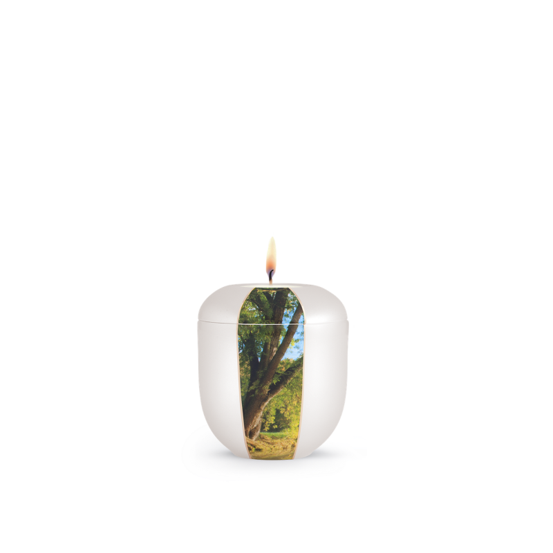 Gedenklicht in Form einer runden, weißen Kerze mit einem Baum-Motiv aus der Edition Natura, aus Perlmutt gefertigt, mit brennender Flamme oben.