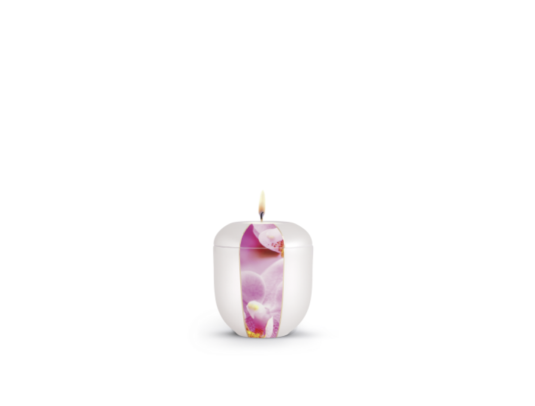 Edition Natura, Perlmutt, Orchidee, Gedenklicht Edition Natura, Perlmutt, Orchidee, Gedenklicht