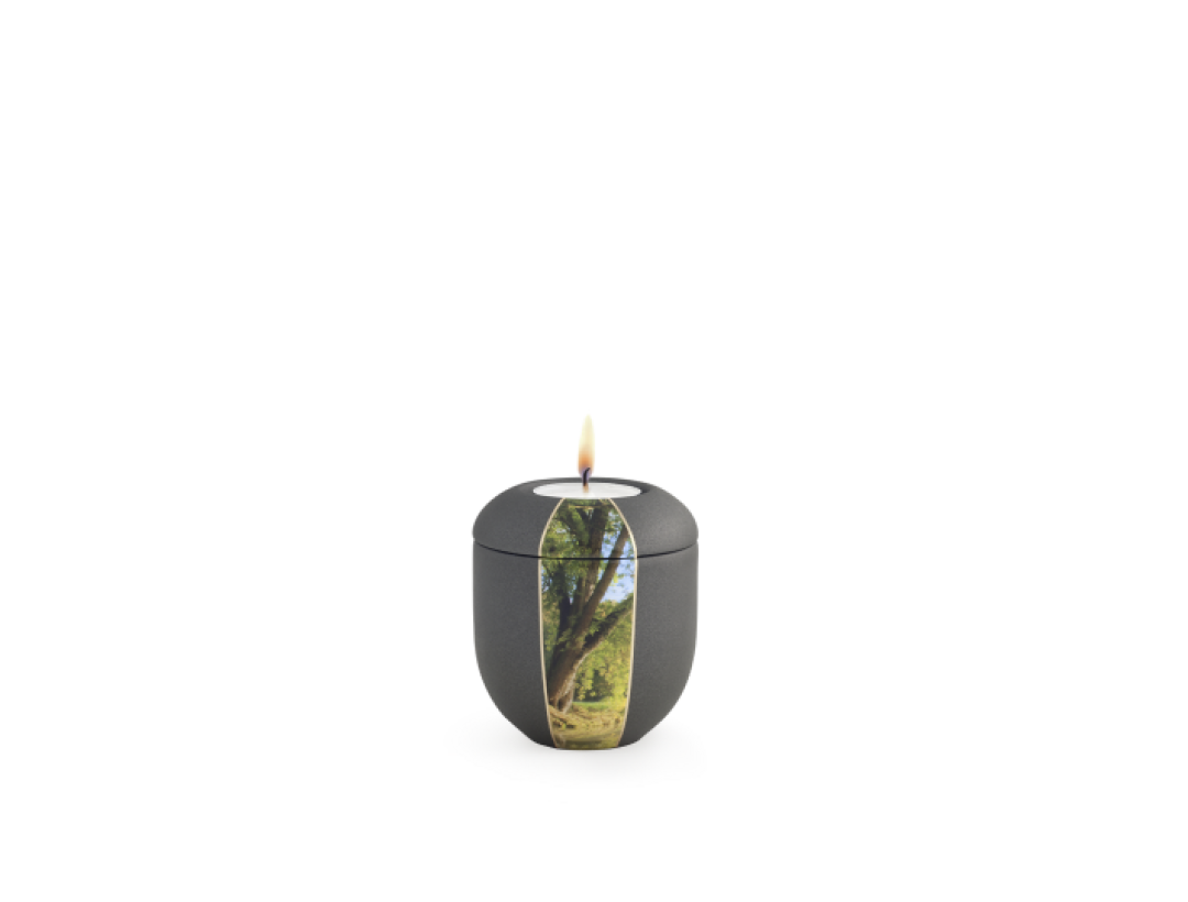 Edition Natura, Samtton anthrazit - Gedenklicht, Baum Edition Natura, Samtton anthrazit - Gedenklicht, Baum