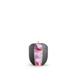 Edition Natura, Samtton anthrazit, Orchidee, Gedenklicht Edition Natura, Samtton anthrazit, Orchidee, Gedenklicht