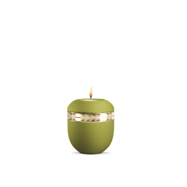 Gedenklicht, Infinity Livorno, velvet Peridot, gebürstetes Golddekor Zweig