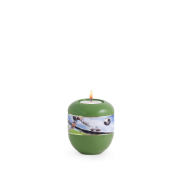 Edition Fußball, Grün, Fußballband, Gedenklicht