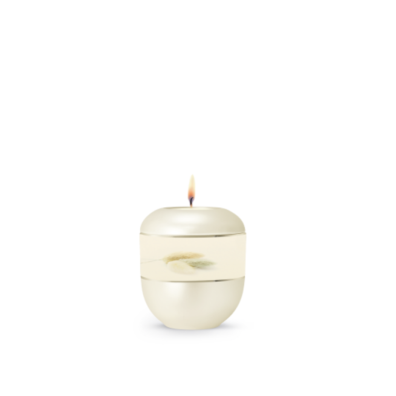 Gedenklicht, Edition 360°, Perlmutt champagner, Gräsermotiv BOK
