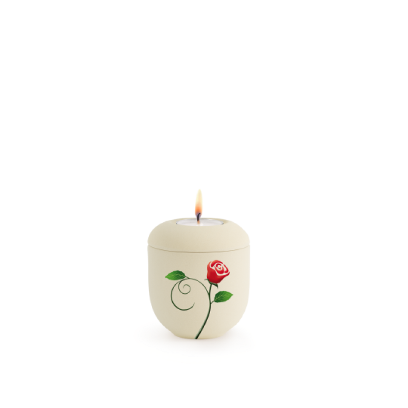 Edition Classic, Samton Creme, Rose, Gedenklicht