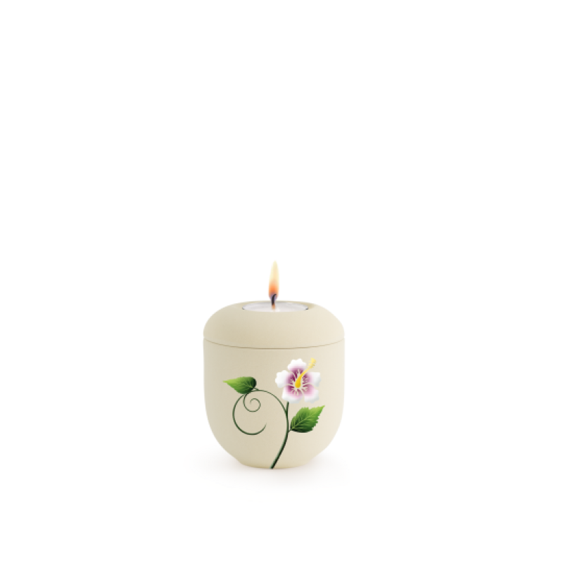 Edition Classic, Samton Creme, Hibiskus, Gedenklicht