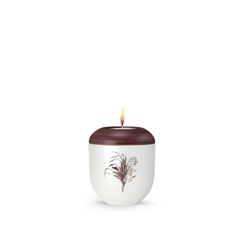 Die handbemalte Urne der Edition Silva ist kastanienbraun mit einem mattweißen Perlmutt-Finish und zeigt ein Gräser-Motiv; sie hat eine runde Form und eine flamme.