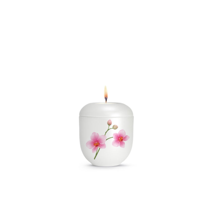 Edition Aurelia, Perlmutt weiss, Orchidee, Gedenklicht