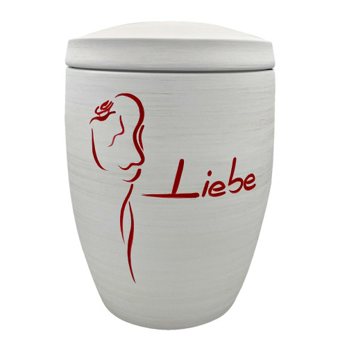 Rose Liebe rot-weiß