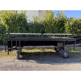 Sargwagen Modell 5550 E mit elektrischen Motor