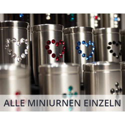 Einzelne Miniurnen (17)