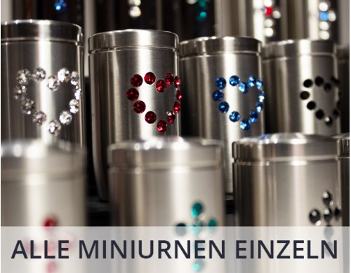 Einzelne Miniurnen (18)