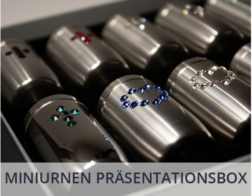 Präsentationsbox (1)