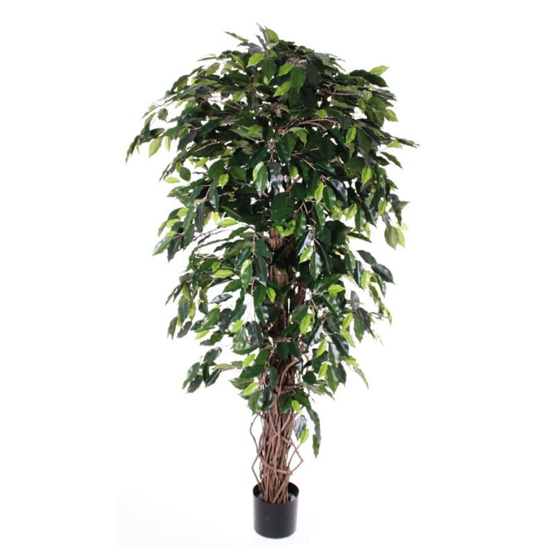 Ein künstlicher Ficus Benjamini mit mehreren Stämmen, grünen Blättern und einem schwarzen Topf, in Gesamtansicht dargestellt.