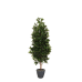 Künstlicher Lorbeersäulenbaum in einem schwarzen Topf, mit einer schmalen, aufrechten Form und grünen Blättern, Gesamtansicht.