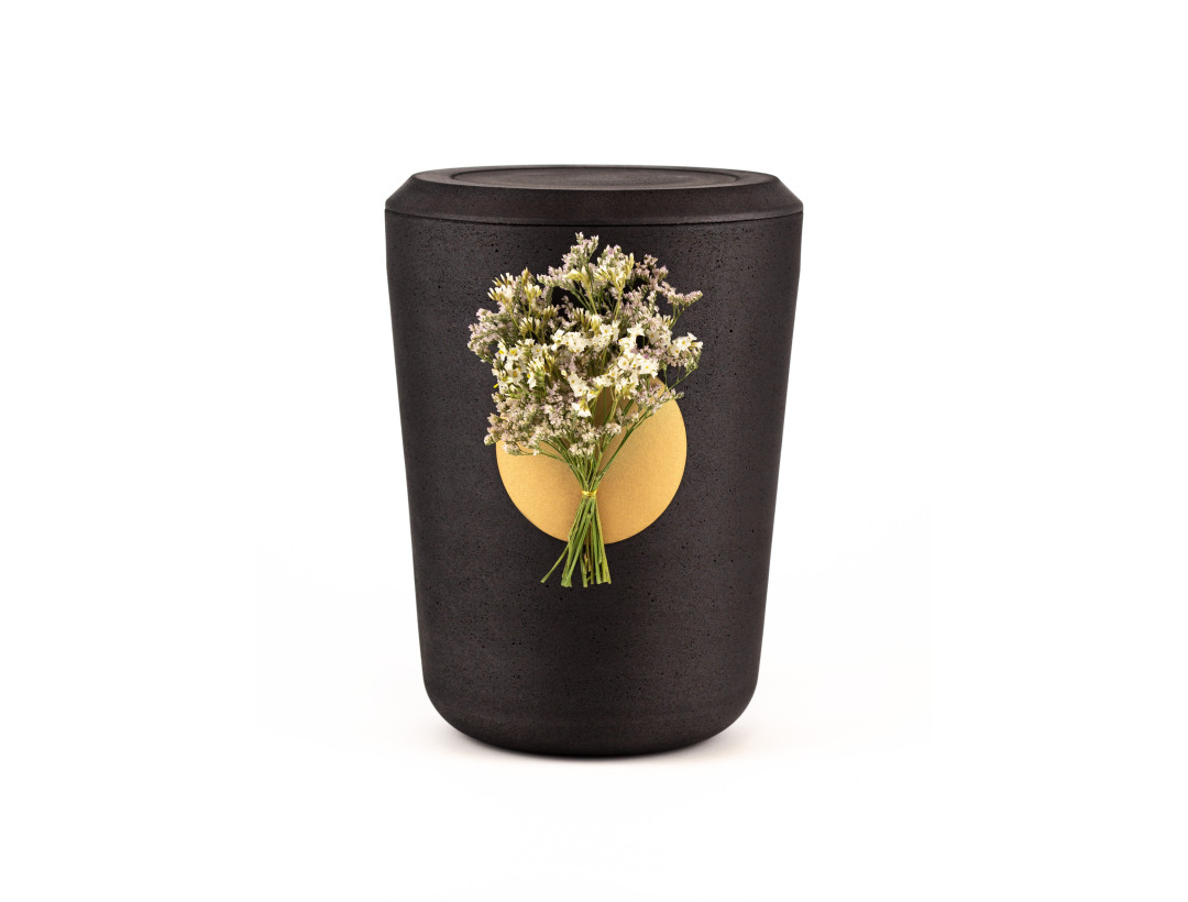 Kohleurne Strandflieder