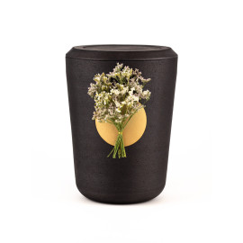 Kohleurne Strandflieder