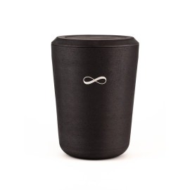 Kohleurne Unendlich Silber