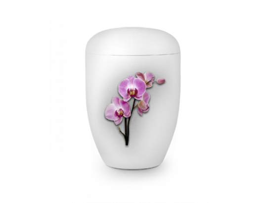 Fall in Leaves - Design Orchidee Exklusivserie Fleur Blanche