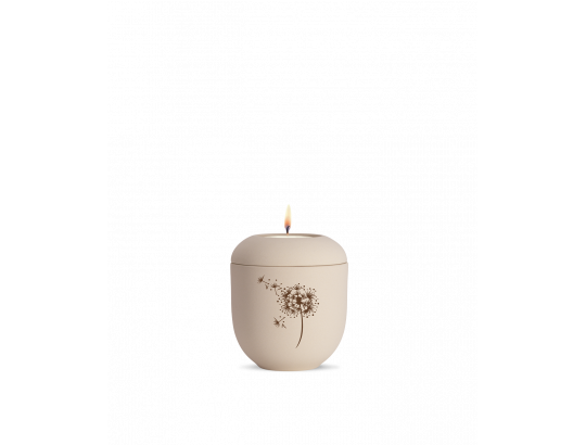 Editon Classique, samton Creme, Pusteblume, Gedenklicht