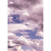 Die Produktansicht zeigt eine rosa Wolkenstruktur auf einem Himmelshintergrund, die eine sanfte und beruhigende Atmosphäre vermittelt.
